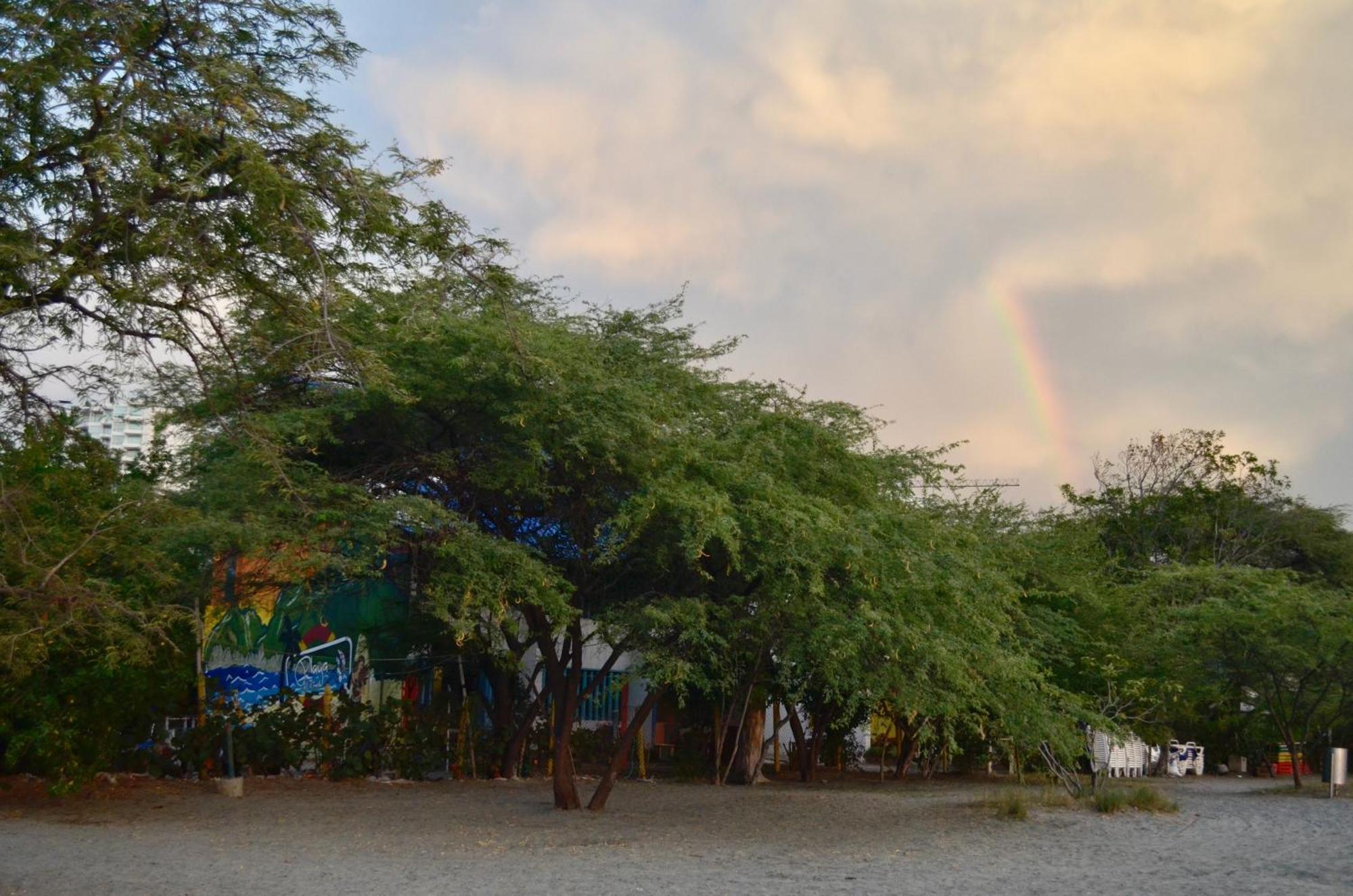 Playa Del Ritmo Beach Hostel & Bar - Adults Only Santa Marta  Eksteriør bilde